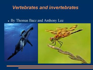 presentation player overlay