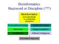Bioinformatics: Buzzword or Discipline (???) PowerPoint PPT Presentation