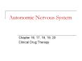 Autonomic Nervous System PowerPoint PPT Presentation