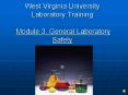 West Virginia University Laboratory Training Module 3' General Laboratory Safety PowerPoint PPT Presentation