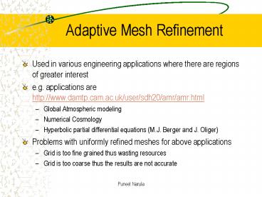 Adaptive Mesh Refinement