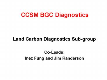 CCSM BGC Diagnostics