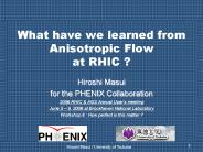 What have we learned from Anisotropic Flow at RHIC ?