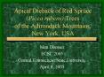 Apical Dieback of Red Spruce Picea rubens Trees of the Adirondack Mountains, New York, USA PowerPoint PPT Presentation