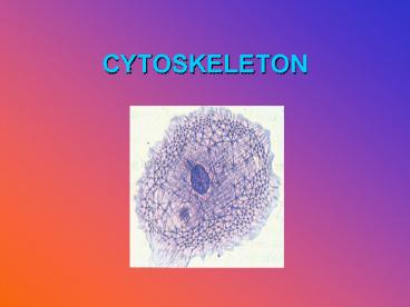 CYTOSKELETON