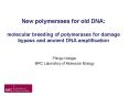 New polymerases for old DNA: molecular breeding of polymerases for damage bypass and ancient DNA amp PowerPoint PPT Presentation