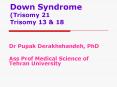 Down Syndrome Trisomy 21 Trisomy 13 PowerPoint PPT Presentation