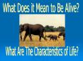 What Does it Mean to Be Alive? PowerPoint PPT Presentation