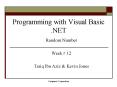 Programming with Visual Basic .NET PowerPoint PPT Presentation
