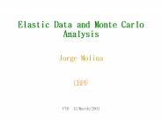Elastic Data and Monte Carlo Analysis