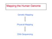 Mapping the Human Genome