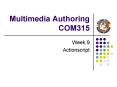 Multimedia Authoring COM315 PowerPoint PPT Presentation