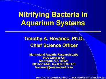 Nitrifying Bacteria in Aquarium Systems