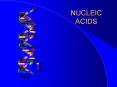 NUCLEIC ACIDS PowerPoint PPT Presentation