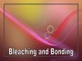 Bleaching and Bonding PowerPoint PPT Presentation
