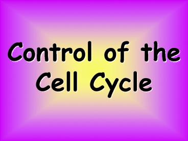 presentation player overlay