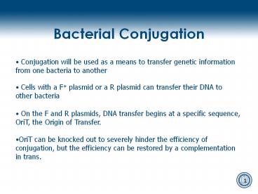 presentation player overlay