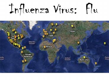 Influenza Virus: Flu