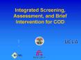 Integrated Screening, Assessment, and Brief Intervention for COD PowerPoint PPT Presentation