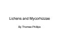 Lichens and Mycorhizzae PowerPoint PPT Presentation