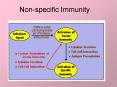 Nonspecific Immunity PowerPoint PPT Presentation