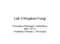 Lab 3 Kingdom Fungi PowerPoint PPT Presentation