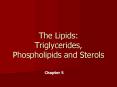 The Lipids: Triglycerides, Phospholipids and Sterols PowerPoint PPT Presentation