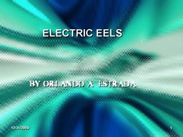 ELECTRIC EELS