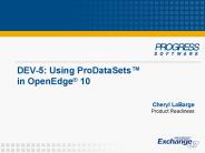 DEV-5: Using ProDataSets