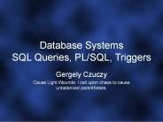 Database Systems SQL Queries, PL/SQL, Triggers
