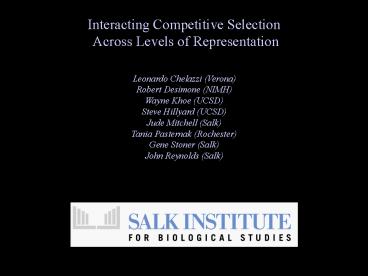 Leonardo Chelazzi Verona