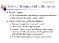 Startup leagues and niche sports PowerPoint PPT Presentation