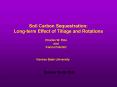 Soil Carbon Sequestration: PowerPoint PPT Presentation