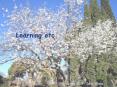 Learning etc PowerPoint PPT Presentation