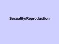 SexualityReproduction PowerPoint PPT Presentation