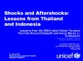 Shocks and Aftershocks: Lessons from Thailand and Indonesia PowerPoint PPT Presentation