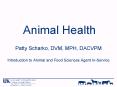 Animal Health PowerPoint PPT Presentation