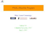 FNAL Absorber Program