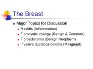 The Breast