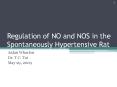 Regulation of NO and NOS in the Spontaneously Hypertensive Rat PowerPoint PPT Presentation