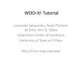 WDO-It! Tutorial PowerPoint PPT Presentation