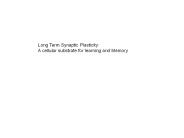 Long Term Synaptic Plasticity: