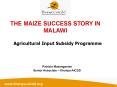THE MAIZE SUCCESS STORY IN MALAWI PowerPoint PPT Presentation