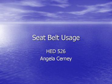 Seat Belt Usage