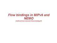 Flow bindings in MIPv6 and NEMO draft-soliman-monami-flow-binding-00