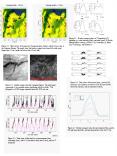 Figure 3.2: Time series of downward (top), upward (2nd from top) solar radiation, downward (3rd) and upward (4th) terrestrial radiation, and net radiation (bottom). PowerPoint PPT Presentation