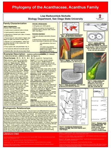 SCB Tecate Cypress Poster