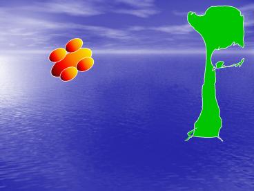 Siklus Hidup Kupu-kupu