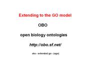 Extending to the GO model