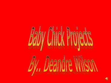 Baby Chick Projects